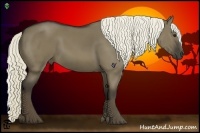 Horse Color:Liver Red Dun 