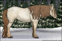 Horse Color:Liver Red Dun Roan Pearl 