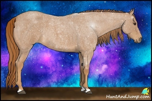 Horse Color:Red Roan Rabicano
