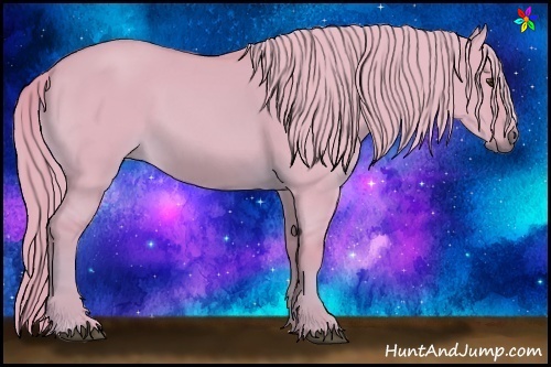 Horse Color:Watercolor Red Dun 