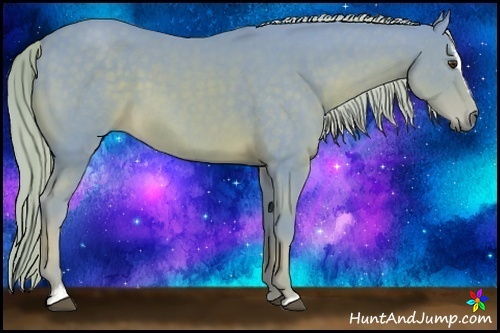 Horse Color:Watercolor Palomino Sabino 