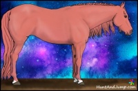 Horse Color:Watercolor Chestnut 