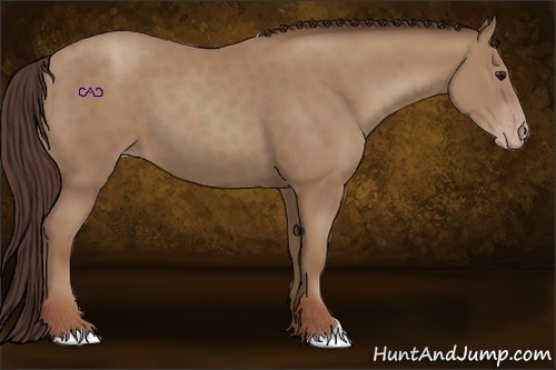 Horse Color:Classic Champagne 