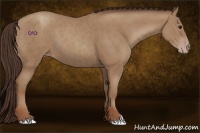 Horse Color:Classic Champagne 