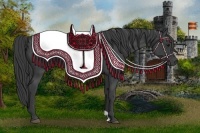 Horse Color:Smoky Black 