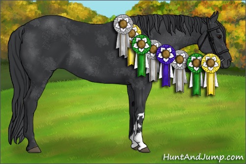 Horse Color:Black 