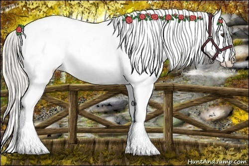 Horse Color:Silver Buckskin Roan Dun Splash Tobiano Frame Appaloosa Rabicano 