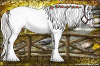 Horse Color:Silver Buckskin Roan Dun Splash Tobiano Frame Appaloosa Rabicano 