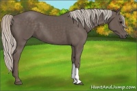 Horse Color:Silver Black 