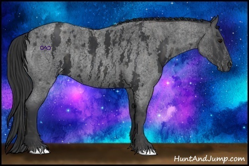 Horse Color:White Spotted Blue Roan Rabicano  Brindle