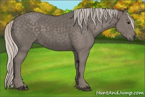 Horse Color:Silver Black 