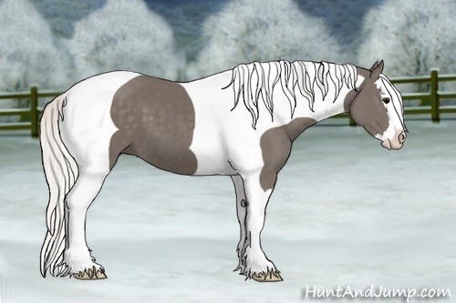 Horse Color:Silver Smoky Black Splash Tobiano