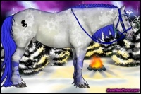 Horse Color:Watercolor White Spotted Bay Ice Dun 