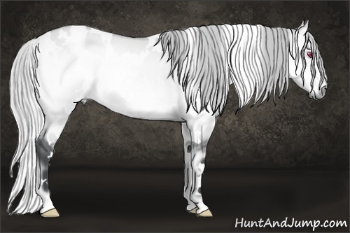 Horse Color:White Spotted Silver Buckskin Chinchilla Onyx 