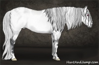 Horse Color:White Spotted Silver Buckskin Chinchilla Onyx 