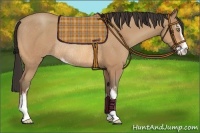 Horse Color:Amber Champagne Sabino Rabicano