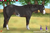 Horse Color:Liver Chestnut Sabino