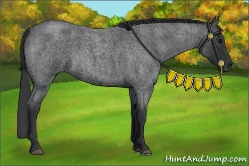 Horse Color:Blue Roan 