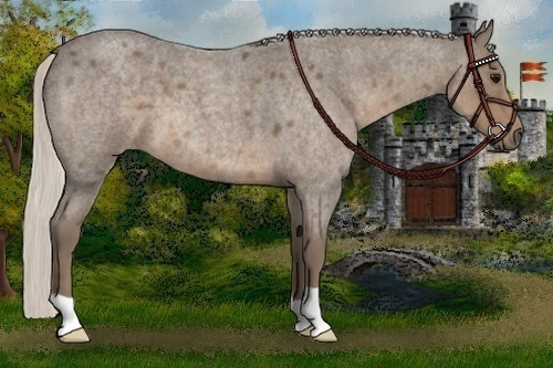 Horse Color:Silver Smoky Blue Roan 