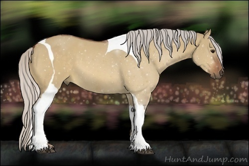 Horse Color:Silver Bay Dun Tobiano