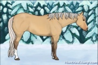Horse Color:Silver Bay Dun Sabino Tobiano