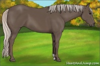 Horse Color:Silver Black 