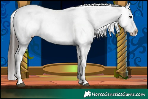 Horse Color:Brown Tobiano Varnish 