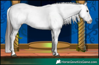 Horse Color:Brown Tobiano Varnish 