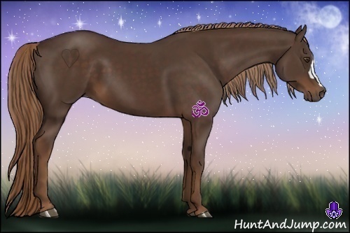 Horse Color:Liver Chestnut 
