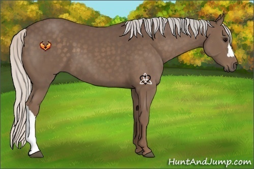 Horse Color:Silver Black 