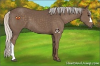Horse Color:Silver Black 