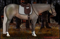 Horse Color:Silver Black 