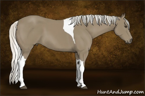 Horse Color:Silver Smoky Black Tobiano 
