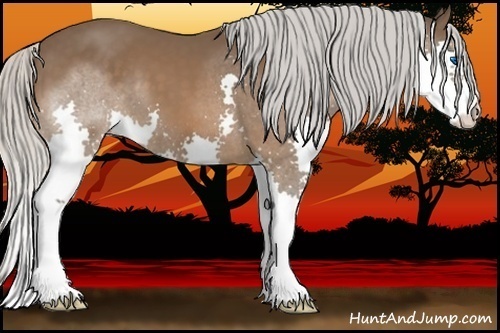 Horse Color:Silver Bay Splash 