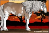 Horse Color:Silver Bay Splash 