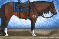 Horse Color:Bay Frame 