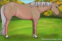 Horse Color:Watercolor Chestnut Rabicano 