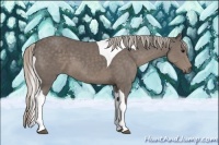 Horse Color:Silver Black Sabino Tobiano 