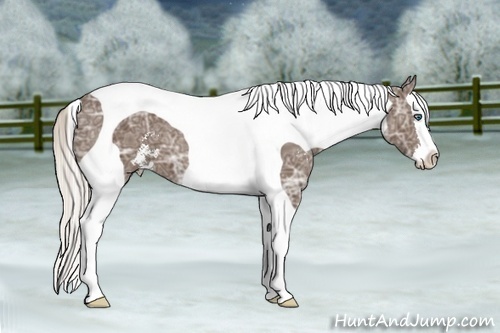Horse Color:Silver Black Ice Sabino Splash Tobiano 