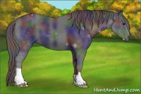 Horse Color:Nacre Black 