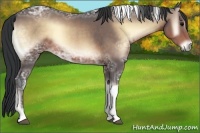 Horse Color:Brown Ice Onyx Tobiano 