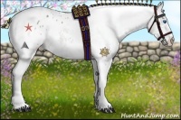 Horse Color:Smoky Grullo Splash Tobiano Blanket