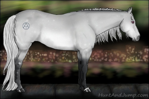Horse Color:Silver Bay Chinchilla
