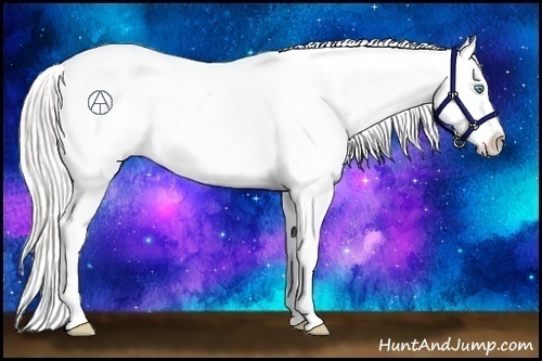 Horse Color:Chocolate Palomino Pearl Appaloosa