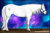 Horse Color:Chocolate Palomino Pearl Appaloosa 