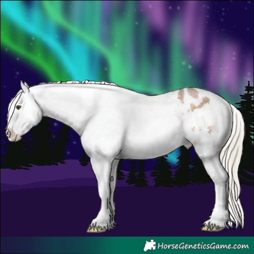 Horse Color:Chocolate Palomino Roan Mushroom Appaloosa Rabicano 