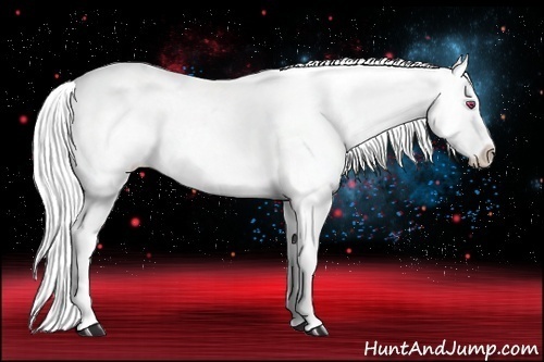 Horse Color:Silver Buckskin Chinchilla Varnish 