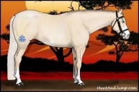 Horse Color:Silver Buckskin Pearl Sabino 