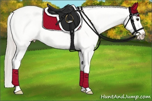 Horse Color:Silver Brown Roan Blanket