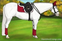 Horse Color:Silver Brown Roan Blanket